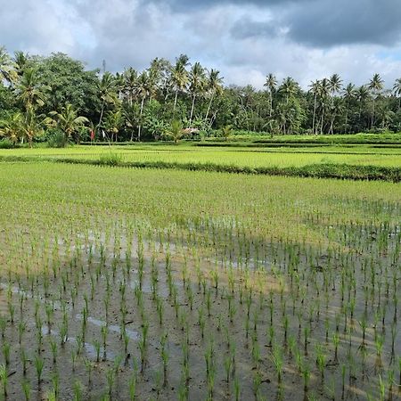 New 4 Bedroom Villa Surrounded By Jungle And Ricefields Убуд Екстериор снимка